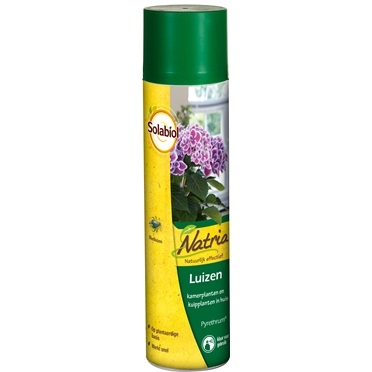 Bayer, Pyrethrum spray