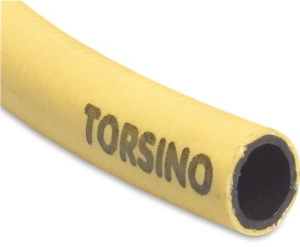 Torsino slang